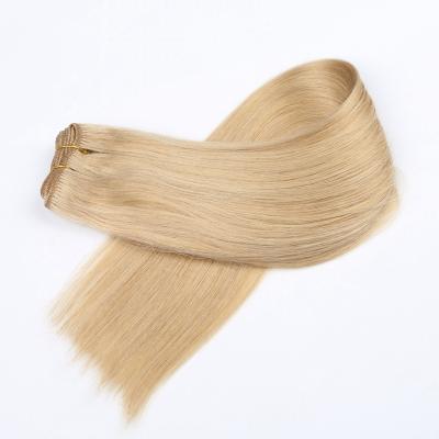 China Free Sample Silky Straight Wave Hair Bundles 100% European Hair 100g Hair Weft Extension for sale