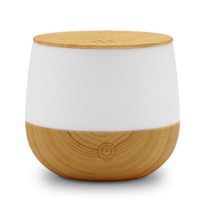 China Easy To Use Cute Electric Micro USB Mini Air Humidifier Ultrasonic Aroma Diffuser for sale