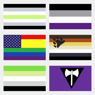 China Varies 6 Vivid Color and Rainbow Fade Resistant Canvas Header and Brass Grommets 3x5ft Stripes 3x5ft Flag UV Pride Flag for sale