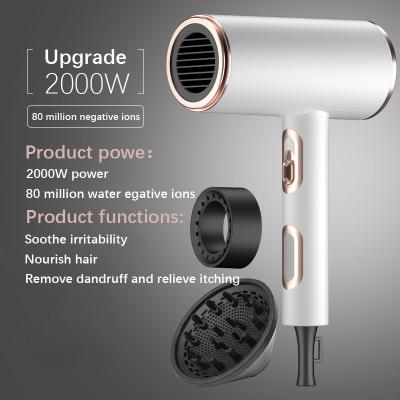 China 1600W Hotel Hair Dryer Constant Temperature Negative Hammer Professional Ionic Hair Care Hair Dryer with Diffuser for sale