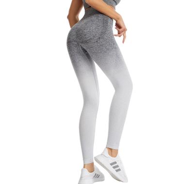 China Factory direct sale breathable fashion Europe and the United States seamless progressive change yoga pants for sale