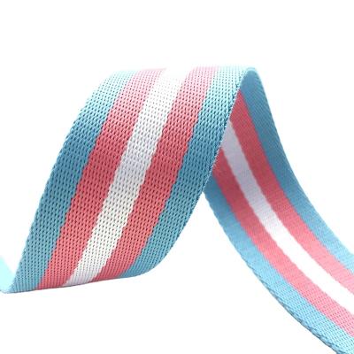 China Eco-friendly 100% Twill Polyester High Tenacity Bag Shoulder Strap Polyester Webbing Belt Webbing Belt for sale