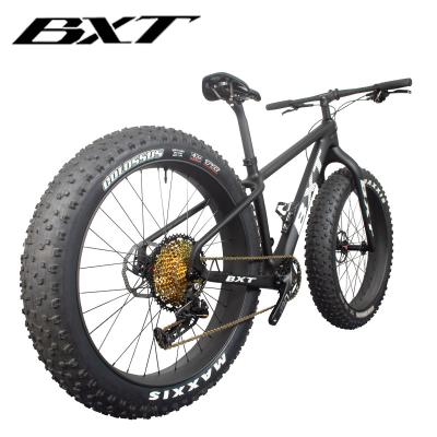 China Full carbon fiber full carbon fiber 26er snow bike 12 speed carbon frame fat and 26er 16/18inch fork complete bike for sale