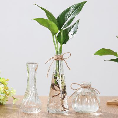 China Japanese/Nordic Europe modern luxurious decorative flower decoration style glass vase for dry flower for sale