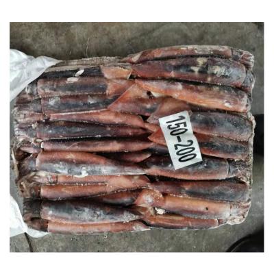 China Illex Whole Squid 100 200g South Africa Illex Nutritious Frozen Squid Price Illex Squid With Competitive Price for sale