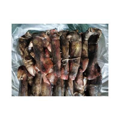 China Nutritious Different Size 80 - 150 g Fresh Fish Whole Frozen Squid Black Squid Squid For Groundbait for sale