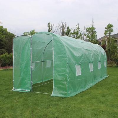 China Factory Supply Greenhouse Equipment Tunnel Greenhouse Plants Growth Easily Assembled Agricultural Greenhouse for sale