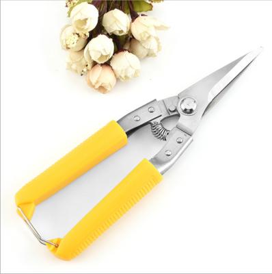 China 200mm fruit tree pruning shears floral bonsai pruner customized secateurs curved blade garden scissors for sale