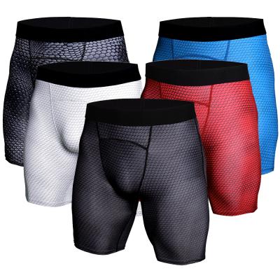 China High Quality Breathable Tight Stretch Men's Running Shorts Quick-Drying Compression Shorts Sports And Fitness Shorts for sale