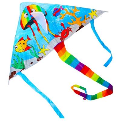 China Hand Painted Polyester Kids Color DIY Kite for sale