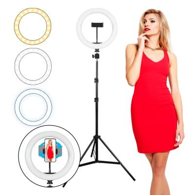 China Makeup 26CM-1 3200-6000K Fabricate Wide Range Ring Light 10inch Selfie Lighting Tripod With Movable Stand for sale