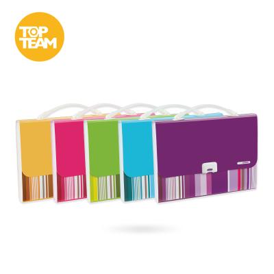 China pp TOPTEAM pp expanding folder A4 13pocket, folder holder, folder, for sale