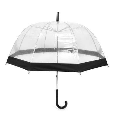 China Modern Apollo Transparent Straight Women's Clear Bubble Dome Umbrella With Colored Edges for sale