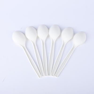 China Custom Disposable Nature Compostable Logo Salad Soup Spoon Viable Biodegradable Spoons for sale