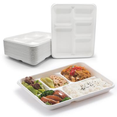 China Compostable Biodegradable Within 90 Days Sugar Cane Bagasse Plate 5 Compartment Trays 21x26cm Biodegradable and Compostable Te koop