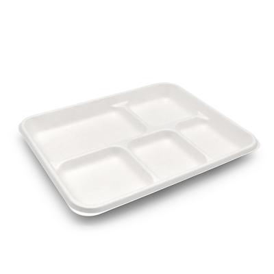 China Biodegradable Compostables Within 90 Of The Day 5-Compartment Paper Plate Compostable Bagasse 100% School Lunch Tray Heavy Duty Quality Te koop