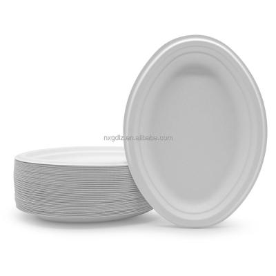 China 10 Inch Customizable Biodegradable Greaseproof Microwavable Bagasse Party Paper Dishes Bulk Disposable Disposable Takeout Dishes Wholesale for sale