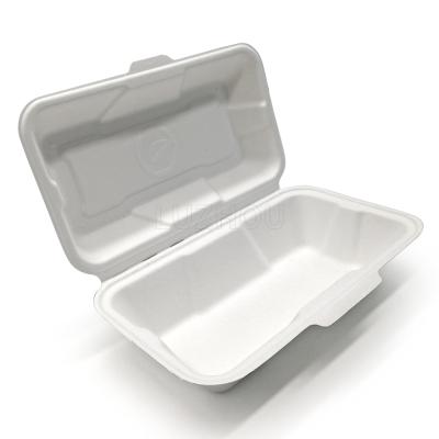 China Compostable Biodegradable Within 90 Of The Day 560ml Bagasse Leakproof Microwavable Eco-Friendly Mold Disposable Bento Lunch Box Takeaway Food Box Biodegradable for sale