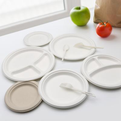 China Biodegradable Compostable Within 90 Day Custom Bagasse Pulp Biodegradable Disposable Catering Dishes And Utensils for sale