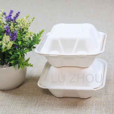 China Hot Selling Customized Disposable 6 Inch Sugarcane Bagasse Biodegradable Pulp Hinged Hamburger Boxes Te koop