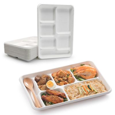 China Within 90 Days Biodegradable Compostable Biodegradable Bagasse 6 Compartment Rectangle Food Trays To Wedding Sugarcane Pulp Lunch Tray for sale