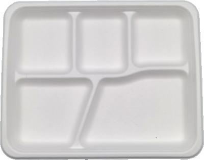 China Water And Oil Resistant Disposable Biodegradable Sugar Cane Bagasse 5 Compartment Food Trays With Lid for sale