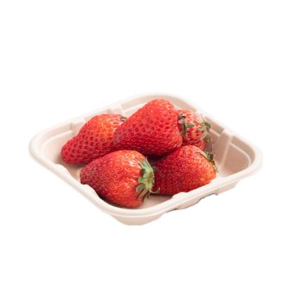 China water repellent & Good Quality Supermarket Food Trays Oil-Repellent Biodegradable Bagasse Disposable Fruit Tray Paper for sale