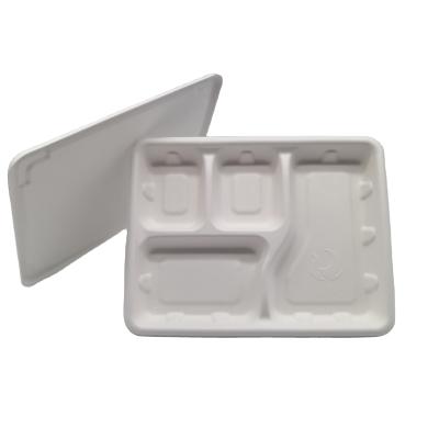 China Disposable Competitive Price Bagasse Food Biodegradable Lunch Tray Disposable Serving Trays for sale