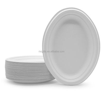 China water repellent & Foam Oil Repellant Biodegradable Disposable Disposable Oval Dish Large 12.5