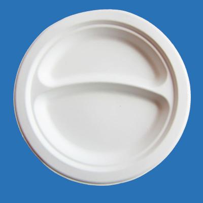 China water repellent & Disposable Foam Plates 9