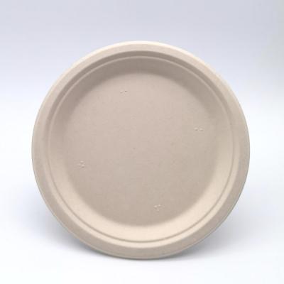 China water repellent & Oil-Repellent Biodegradable Disposable Foam Dishes 10