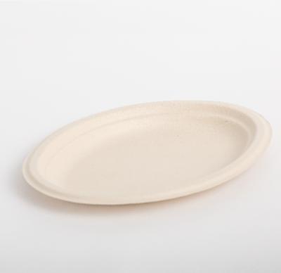 China water repellent & 9 Inch Eco - Friendly Disposable Plate Compostable Bagasse Eco - Friendly for sale