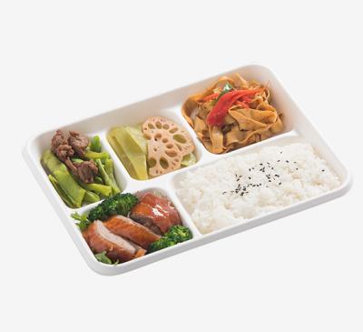 China water repellent & 5 Compartments Disposable Oil-Repellent Lunch Tray Biodegradable Tableware for sale