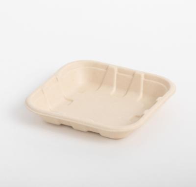 China water repellent & Hot Sale Oil-Repellent Biodegradable Sugarcane Food Trays And Lid Bagasse Paper Tableware for sale