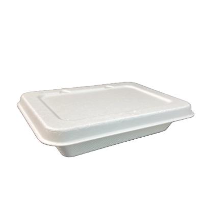 China water repellent & 500ml square oil-repellent box with lid biodegradable sugar cane bagasse take away boxes 100% biodegradable for sale