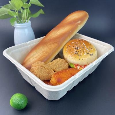 China waterproof & 1500ml Disposable Oil-proof Custom Box Take Away Box Ready-to-eat Containers Biodegradable Sugar Cane for sale