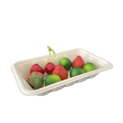 China Biodegradable Compostable Within 90 Days Fridge Tray Disposable Biodegradable Paper Fruit Customizable Safe Waterproof Eco-Friendly Sugar Cane Bagasse for sale