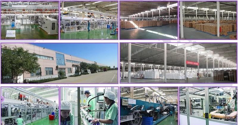 Fornitore cinese verificato - Tianjin Wholesome Hygiene Products Co.,Ltd.