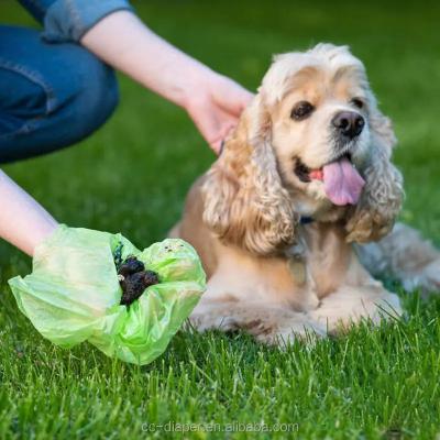 China 240 Taschen kundenspezifische Farbe 100% Haustiermüll biologisch abbaubar kompostierbar Hundekotbeutel zu verkaufen