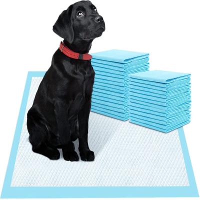 China Pet Training Products with CE ISO Certificate OEM Custom Waterproof Dog Training Pads for sale