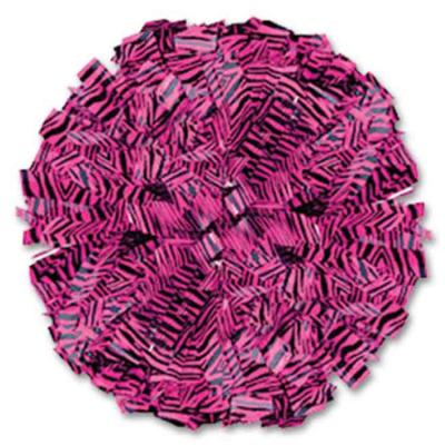 China Zebra color stick handle 6 inch zebra cheerleading pom poms manufacture in china for sale