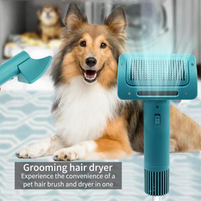 China 2020 New Design Fashionable Appearance Pet Grooming Fan Brush Dog Hair Dryer Adjustable Temperature 2 in 1 Pet Brush Dryer for sale