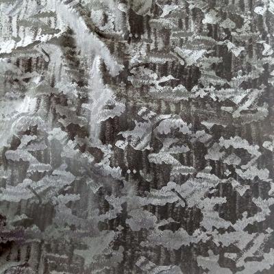 China China Waterproof Hot Selling Hoodie Fabric Camouflage Texture Vinyl Fabric For Outwear for sale