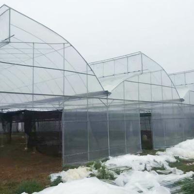 China Plastic film industrial and commercial agricultural greenhouses can be customized for vegetables and various agricultural products greenhouse for sale