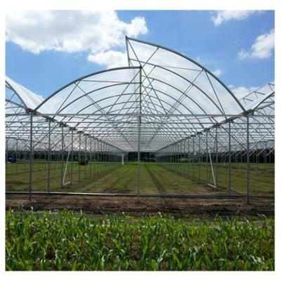 China Plastic Sheet Factory Wholesale Agricultural Greenhouse High Quality Cultivation Greenhouse for sale