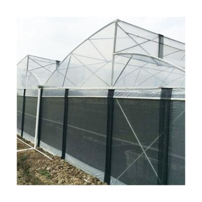 China Good Quality Sawtooth Plastic Sheet Various Plastic Sheet Garden Greenhouses for sale