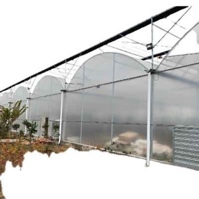 China Multi-span round arch plastic sheet quality assurance tropical hydroponic tomato greenhouses for sale for sale