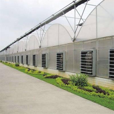 China Cost Effective Multi Span Tunnel Polycarbonate Plastic Film Greenhouse Easy Set Agricultural Multi Span Greenhouse for sale