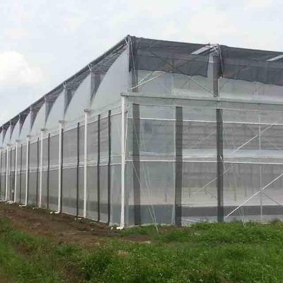 China Wholesale Greenhouse Customizable Greenhouse Manufacturers Wholesale Galvanized Steel Frame Sawtooth Steel Frame Truss Agricultural Greenhouse Large for sale