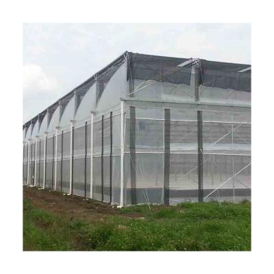 China Professional Plastic Sheet Manufacturer Agricultural Construction Plastic Film Greenhouses Sale for sale